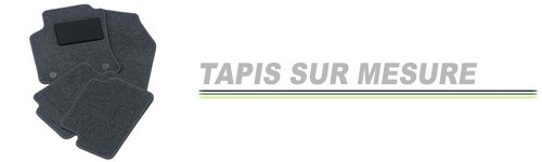 TAPIS AUTO SUR MESURE