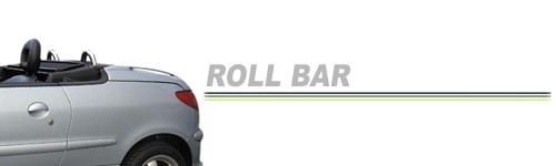 ROLL BAR