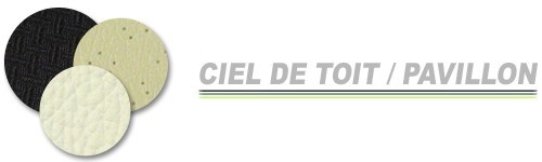 CIEL DE TOIT / PAVILLON INTERIEUR