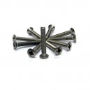 Vis inox 30x5mm