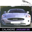 Grilles de calandre tressé en acier inoxydable pour Jaguar XK cabriolet