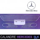 Grille calandre acier inoxydable pour Mercedes SLK R171 cabriolet